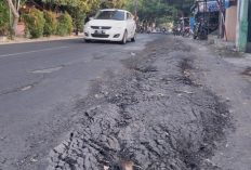 Sudah Diperbaiki Dua Bulan Lalu, Jalan Kenanga-Plumbon Rusak Lagi