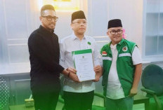 PDIP-PPP Usung Ridho-Kamdan