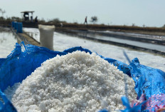 Harga Anjlok, Petani Garam Merugi