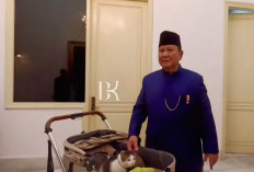 Cat Lovers! Prabowo Boyong Bobby Kertanegara Pakai Stroller, Kucing Kesayangan Jadi Penghuni Istana