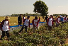 Tingkatkan Produksi dan Tekan Inflasi Daerah