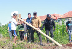 Diskatan Gencarkan Konservasi Burung Hantu untuk Basmi Hama Tikus