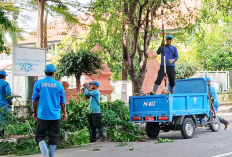 DPRKP Kota Cirebon Pangkas Pohon-pohon di Tepian Jalan Kota Cirebon