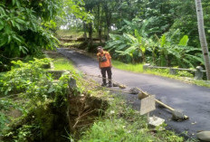 Jembatan Terancam Ambruk 