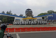 Bikin Kantong Dosen Tebal, Universitas Terbuka Alokasikan Dana Penelitian Rp40 Miliar