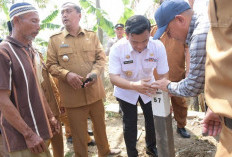 Warga Sujud Syukur, Sengketa Lahan Warga Nunuk Baru dengan Perhutani Berakhir Bahagia