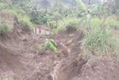 Longsor, Infrastruktur dan Rumah Warga Rusak 