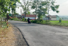 Segera Bangun Jalan Lingkar Sumber, Tahun Depan Bebaskan Lahan, Pemkab Cirebon Ingin Mengurai Kemacetan Jalur 