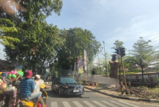  Pemangkasan Pohon di Jl Kesambi Dilakukan Balai PU Provinsi Jawa Barat