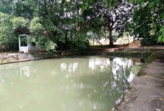 Sang Raja, Kolam Pertama di Majalengka