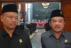 PDI P Bersyukur Nina Berpasangan dengan Kader PKB