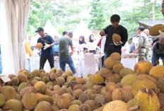 Ehm...Pencinta Durian Terpusakan dengan Rasa Durian Khas Kuningan