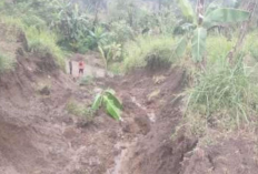 Hujan Deras Berdampak  Longsor, Tutup Bahu Jalan Desa Cimulya–Cimahi