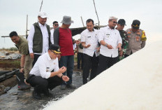 Pemkab Cirebon Terus Dorong Pengembangan Garam Industri