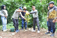 Menanam Pohon, Menanam Doa