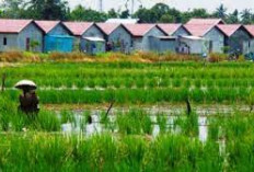 Bambang Mujiarto : Anggaran Pertanian Minim, Negara Mati