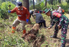 Kompak Bikin Sekat Bakar