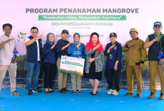 Lestarikan Ekosistem Pesisir, Pelindo Regional 2 Cirebon Gelar Program Penanaman Mangrove 