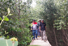 Ciptakan Hutan Mangrove Dewisurga Suranenggala Sebagai Obyek Wisata Unggulan