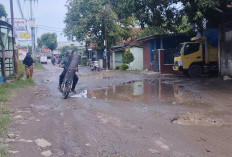 Rusak Parah, Tahun Ini Jalan Desa Pangkalan Diperbaiki