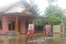 Ketinggian Air Capai 50 Cm, Akibat Curah Hujan Tinggi Puluhan Warga Dermayu Langganan Banjir 