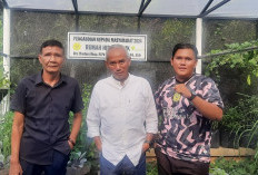 Rumah Hidroponik Pacu Kreativitas Remaja