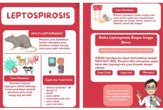 Musim Hujan, Waspada Leptospirosis 