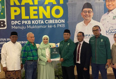 Pilkada Kota Cirebon, PKB Optimis Popularitas dan Elektabilitas Farida akan Terdongkrak