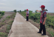 Bangun Jalan Usaha Tani di Empat Desa