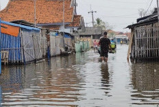 Lagi, Rob Terjang Pesisir Eretan Indramayu