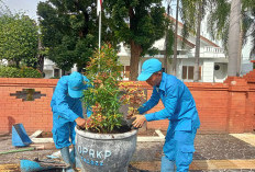 Pohon Diracun, Pj Walikota Minta Dishub Buka CCTV