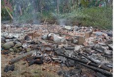 Rumah Warga Lansia di Desa Cantilan Ludes Dilalap Api