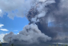 Gunung Lewotobi Laki-Laki Erupsi 5.000 Meter 