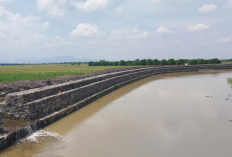 Antisipasi Banjir, Normalisasi Sejumlah Sungai di Wilayah Barat dan Timur