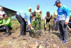 Peduli Lingkungan, Pelindo Tanam 350 Pohon 