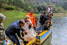 10 Ribu Pasukan Paus Ditebar di Situ Walukut