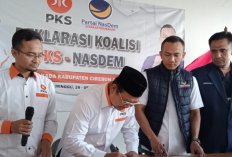 Koalisi Gaspol  46 PKS dan Nasdem, Soal Kandidat yang Diusung Pilkada Masih Dinamis