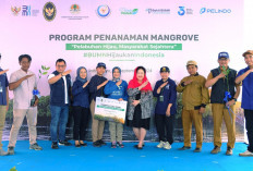 Pelindo Regional 2 Tanam Mangrove 