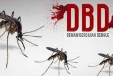 DBD di Bulan Februari Melonjak 108 Kasus, Paling Banyak Terjadi di Susukan Lebak
