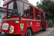 Bus Citros Merah Milik Organda, Bus Citros yang dalam Pengelolaan  Dinas Perhubungan Berwarna Coklat