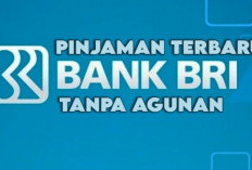 Ada Pinjaman Tanpa Agunan Terbaru dari BRI, Simak Syarat dan Ketentuannya Disini