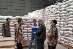 Klaim Stok Beras Surplus, Bulog Cirebon Siapkan Cadangan Beras untuk Bencana Alam