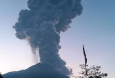 Tercatat Sudah 113 Kali Letusan, Gunung Merapi Kembali Erupsi