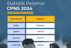 Pendaftaran CPNS 2024 Resmi Ditutup, Pelamar Capai 3,87 Juta Seluruh Indonesia