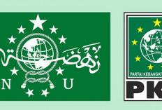 PBNU dan PKB: Dewasalah!