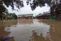 3 Kecamatan di Wilayah Timur Cirebon Terendam Banjir, Dinsos Gercep Bantu Makanan