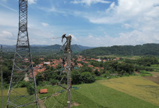 PLN Tambah Infrastruktur Baru di Jawa Barat, Kelistrikan Makin Andal