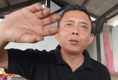 NJOP Naik, Bapenda Silahkan Apersi Ajukan Keberatan