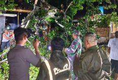 Hujan Lebat, Pohon Bambu Tumbang dan Tutupi Ruas Jalan di Desa Purwasari