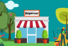 Kebijakan Pembiayaan Bagi Koperasi dan UMKM